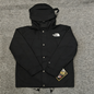 The North Face Men's GORE-TEX Mountain Jacket