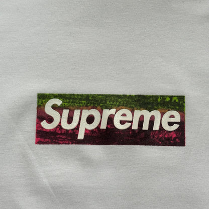 Supreme Los Angeles Fire Relief Box Logo Tee