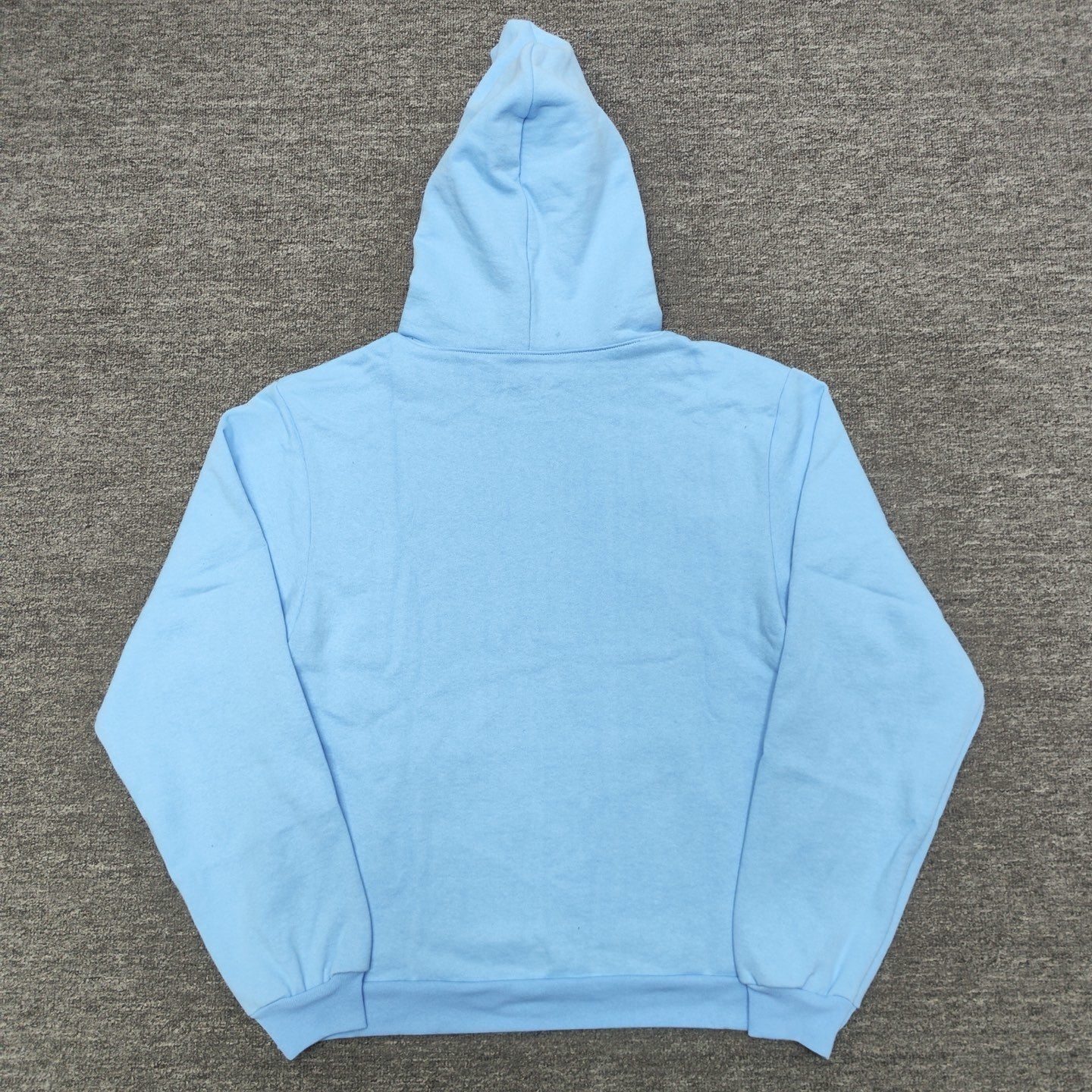 Sp5der Web Hoodie Sky Blue back view showing the hood and clean pullover silhouette