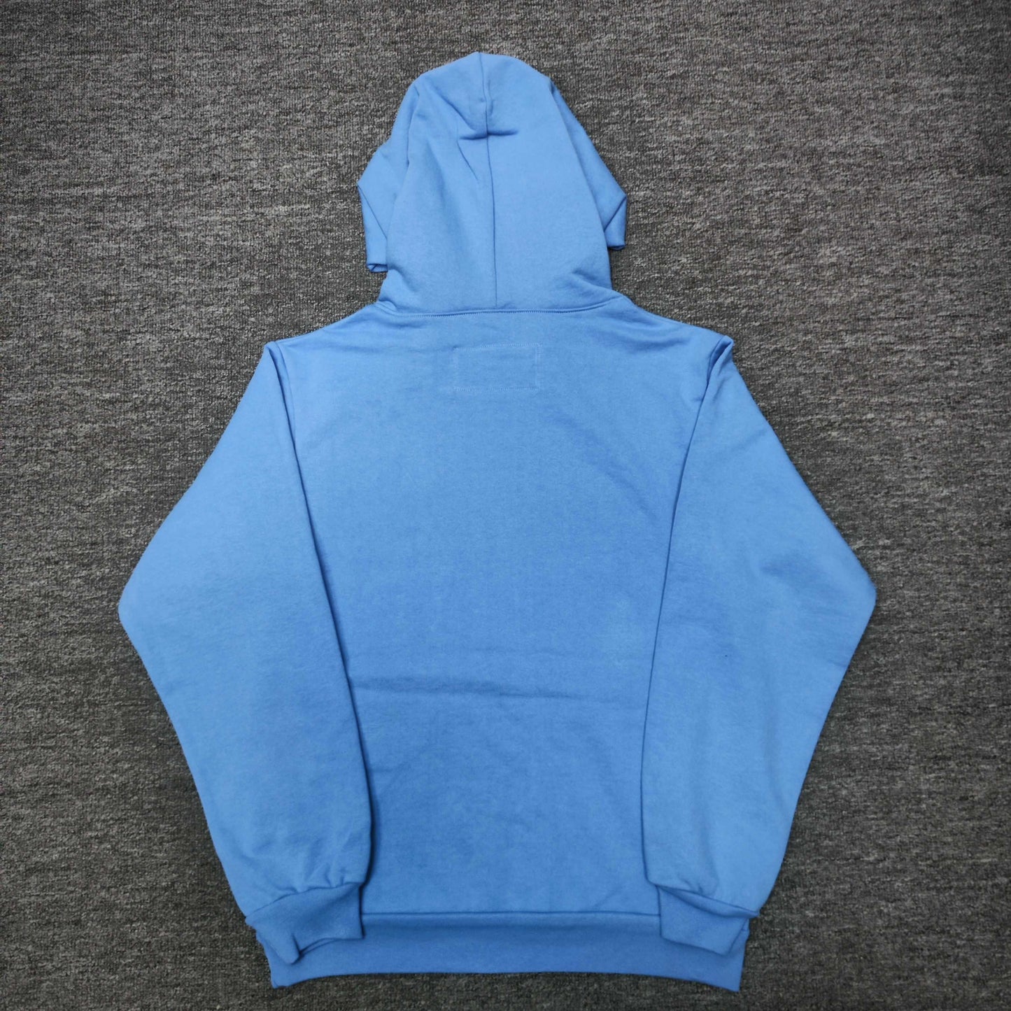 Sp5der OG Web V2 Hoodie Dusty Blue back view showing the hood, clean rear design and ribbed hem