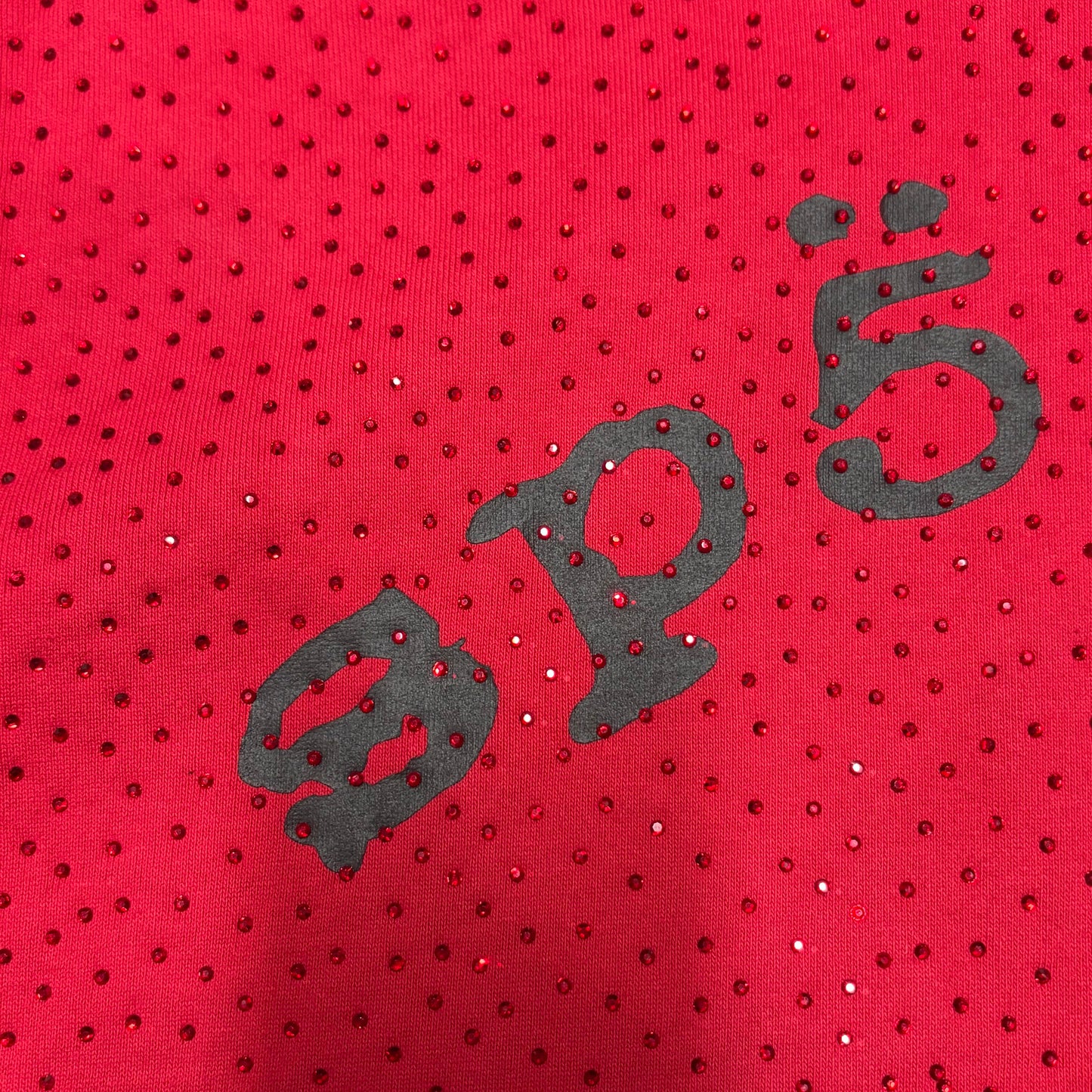 Full all-over tonal rhinestone design on Sp5der VVS Hoodie Red
Close-up of tonal rhinestone spacing and reflective details on Sp5der VVS Hoodie Red
Side angle showing the raised three-dimensional rhinestone texture on Sp5der VVS Hoodie
Close-up of black SP5DER chest lettering on the red VVS rhinestone hoodie