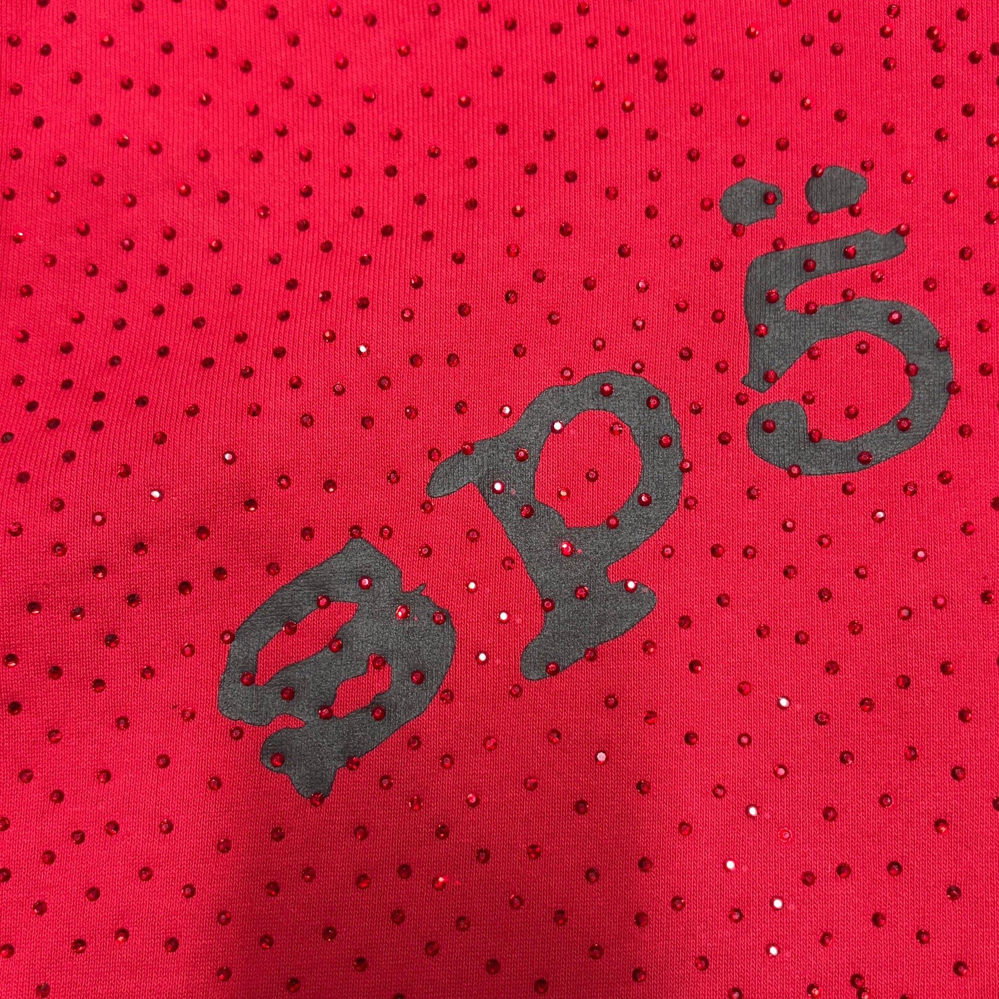 Full all-over tonal rhinestone design on Sp5der VVS Hoodie Red
Close-up of tonal rhinestone spacing and reflective details on Sp5der VVS Hoodie Red
Side angle showing the raised three-dimensional rhinestone texture on Sp5der VVS Hoodie
Close-up of black SP5DER chest lettering on the red VVS rhinestone hoodie