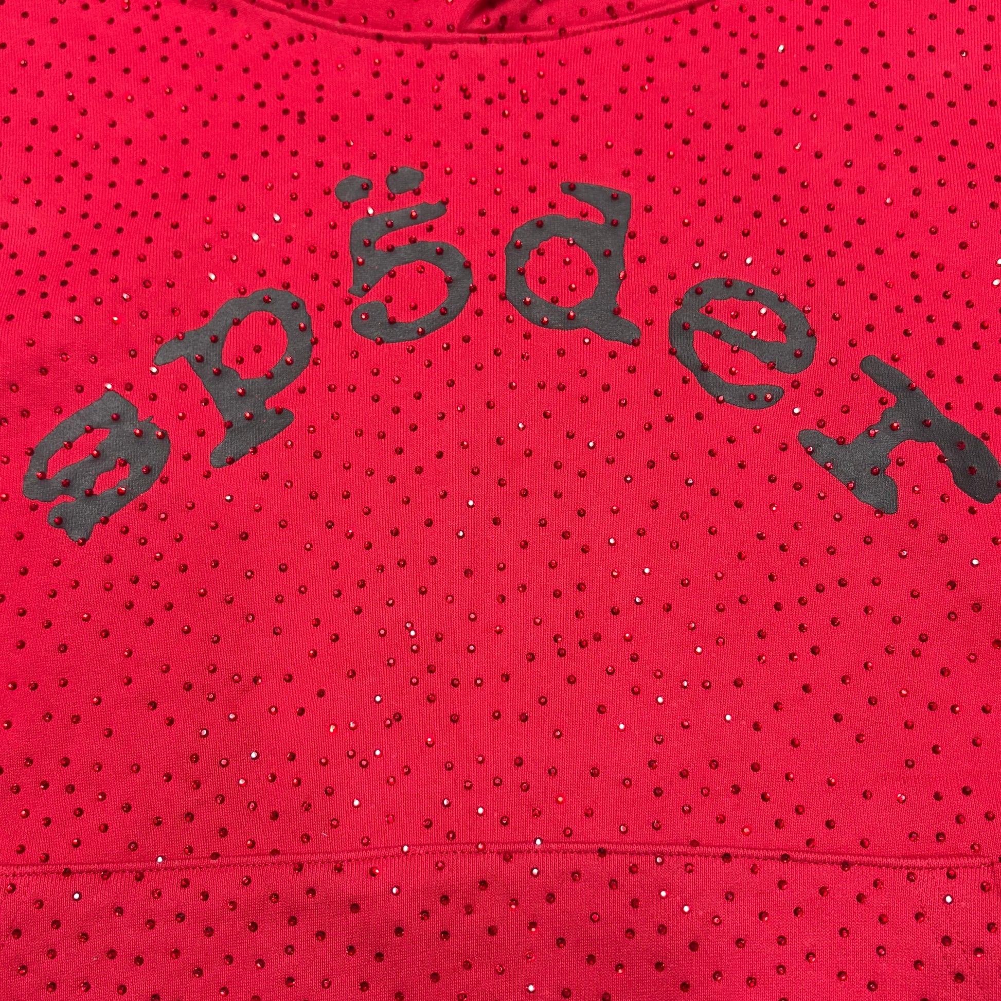 Full all-over tonal rhinestone design on Sp5der VVS Hoodie Red
Close-up of tonal rhinestone spacing and reflective details on Sp5der VVS Hoodie Red
Side angle showing the raised three-dimensional rhinestone texture on Sp5der VVS Hoodie
Close-up of black SP5DER chest lettering on the red VVS rhinestone hoodie