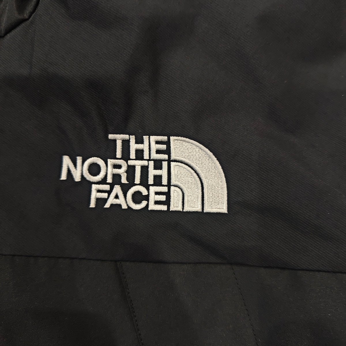 The North Face Men's GORE-TEX Mountain Jacket