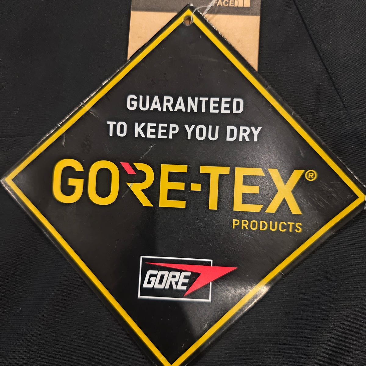 The North Face Men's GORE-TEX Mountain Jacket