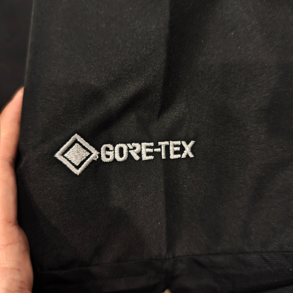 The North Face Men's GORE-TEX Mountain Jacket
