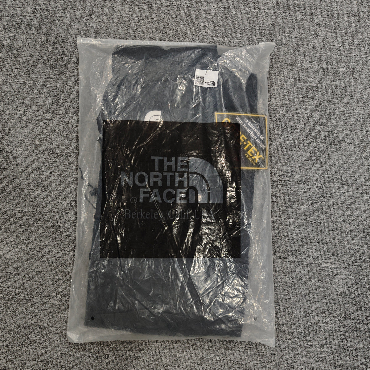 The North Face Men's GORE-TEX Mountain Jacket