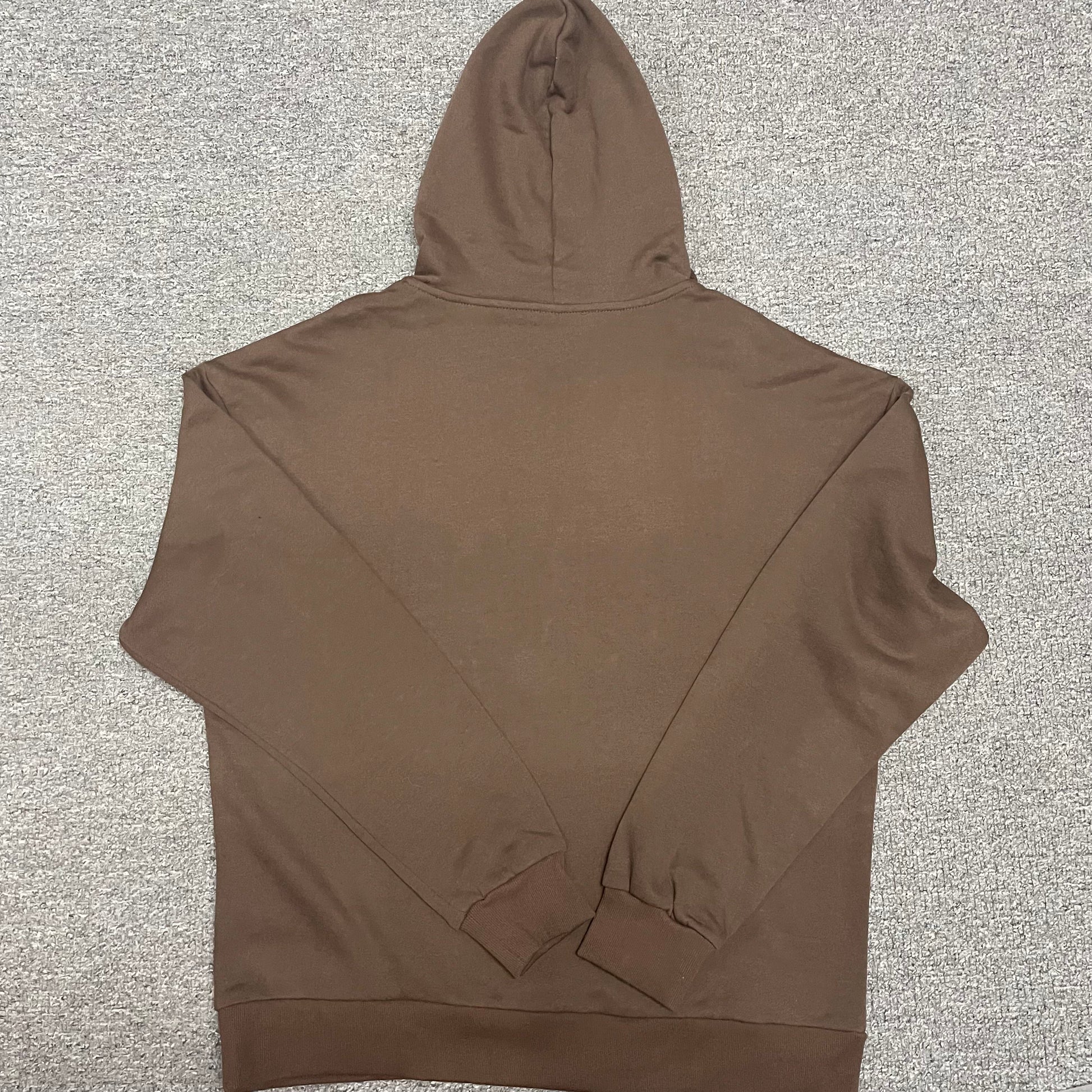 ALO Accolade Hoodie in Espresso back view showing the relaxed oversized fit