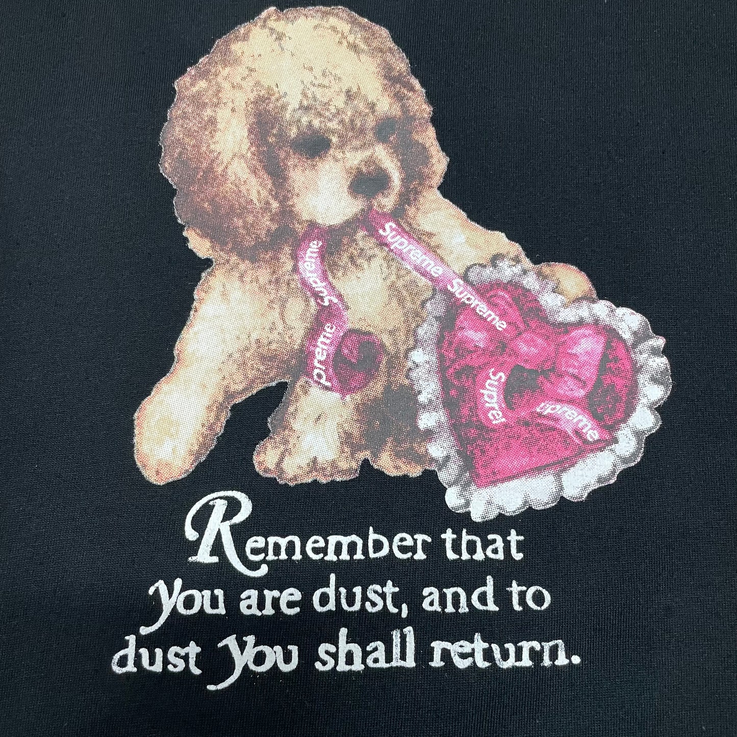 Supreme Dust Tee
