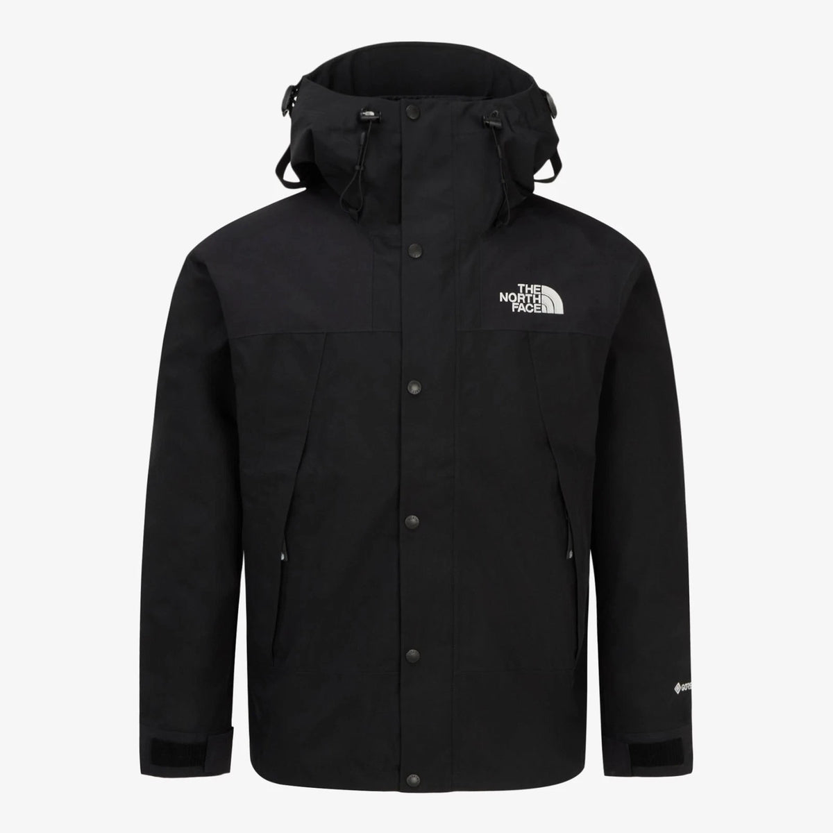 The North Face Men's GORE-TEX Mountain Jacket